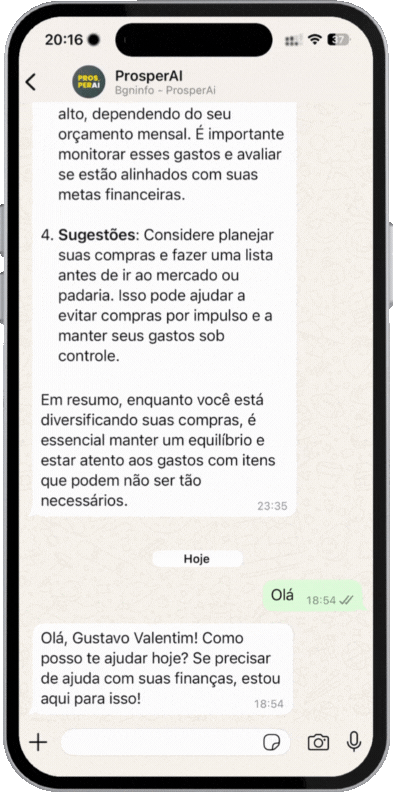 Registro Automático de Despesas e Receitas - ProsperAI